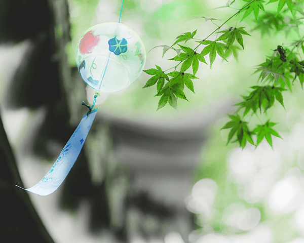 槐树风铃