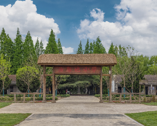 油麻地小学
